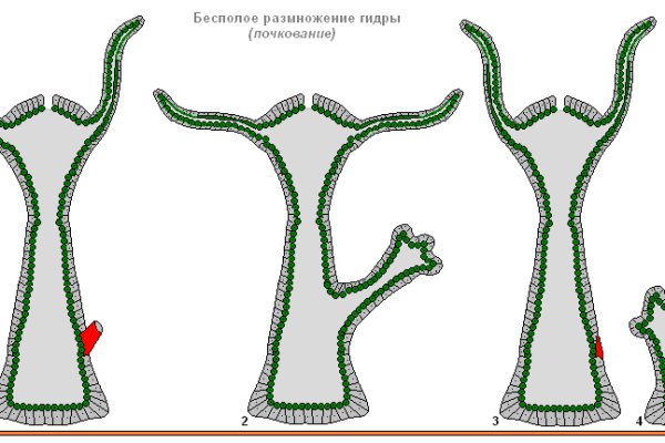 Наркошоп кракен