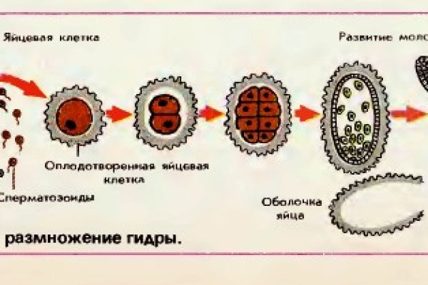 Кракен это современный даркнет маркет