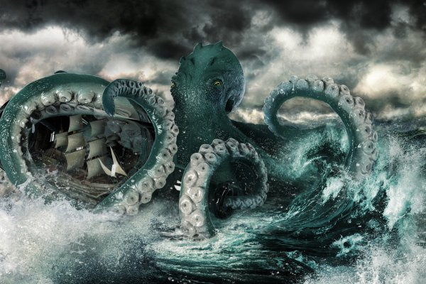 Kraken даркнет переходник